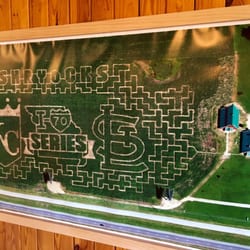 Shryocks Callaway Farms - 2015 Corn Maze