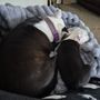 Photo of Camden Veterinary Service - Tom Ulyshen DVM