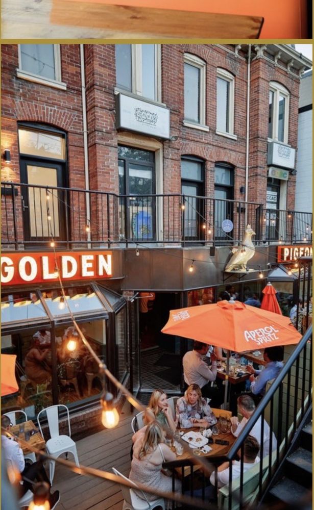 The Golden Pigeon Image