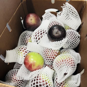 vuon trai cay chi Trinh - Star apple fruits - Fruits & Veggies Near Me - Homestead, Florida vuon trai cay chi Trinh - Star apple fruits - Fruits & Veggies Near Me - Homestead, Florida
