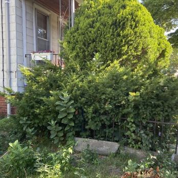 Fresh Start Landscaping - Before - Landscaping Near Me