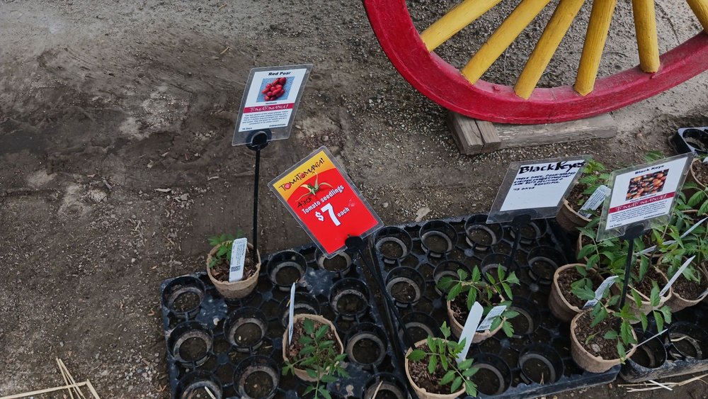 TAPIA BROS FARM Updated October 2024 601 Photos & 275 Reviews