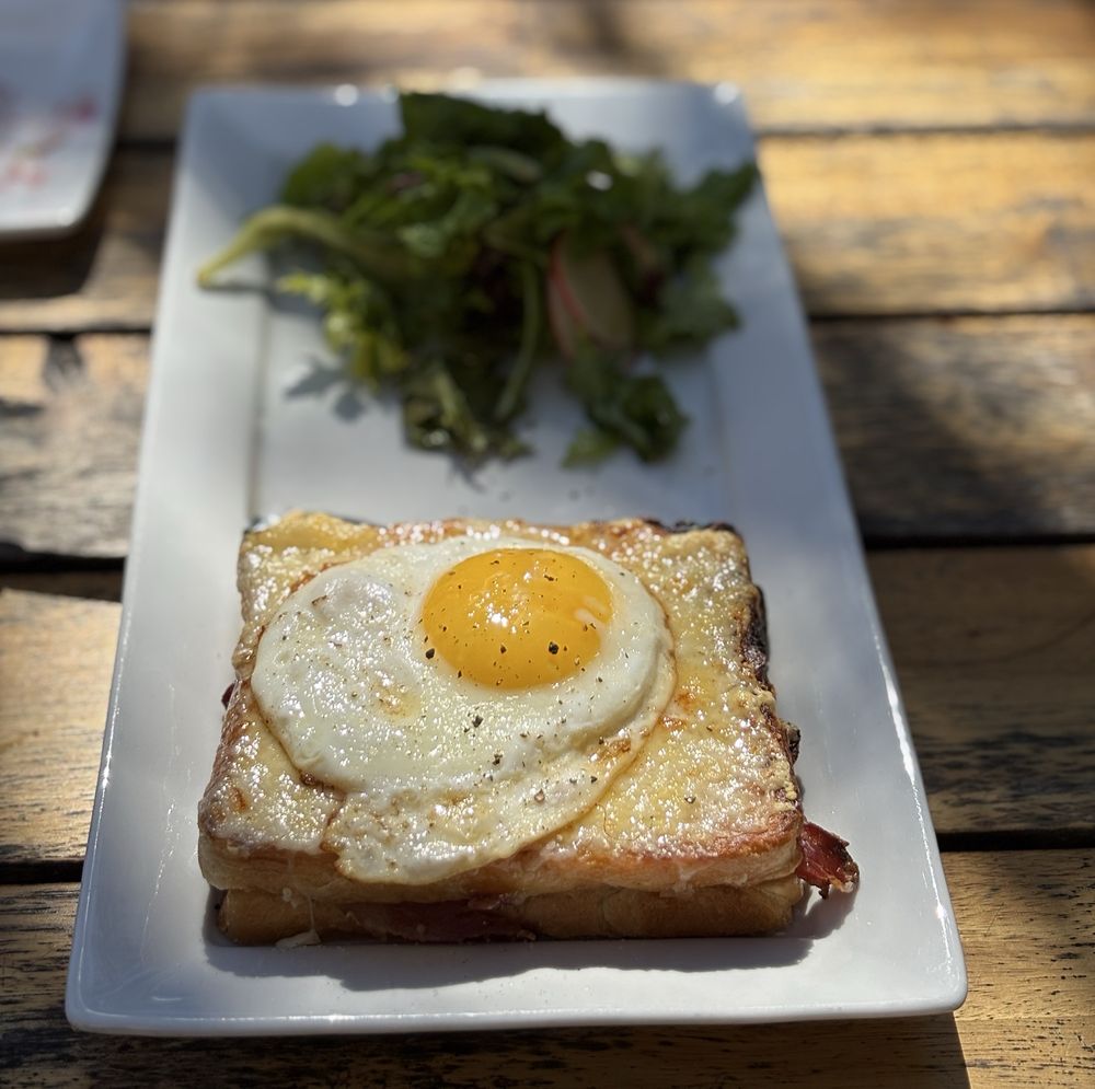 Social spots from N 7