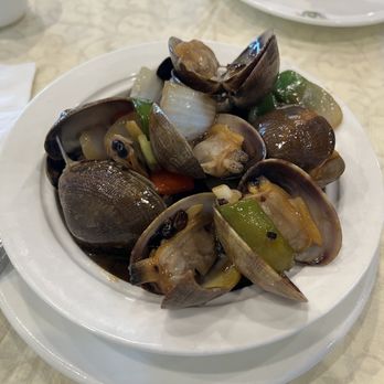 Koi Palace - Stir Fried Manila Clams in Black Bean Sauce - Dim Sum Near Me - Dublin, California Koi Palace - Stir Fried Manila Clams in Black Bean Sauce - Dim Sum Near Me - Dublin, California