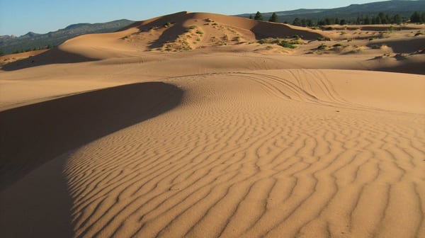 Coral Pink Sand Dunes State Park by null