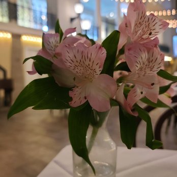 Cafe Alcazar - Fresh flowers - New American Near Me - Saint Augustine, Florida
