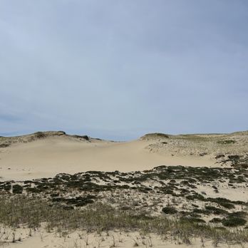 Art's Dune Tours - Tours Near Me - Provincetown, Massachusetts