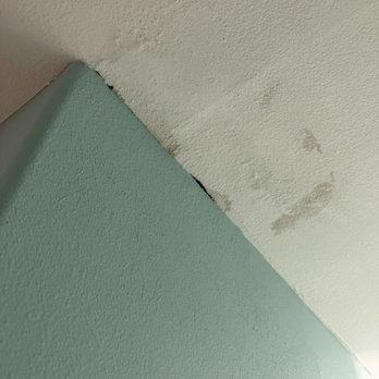 Pristine Properties Vacation Rentals - Black mold - Vacation Rental Agents Near Me - Port St Joe, Florida