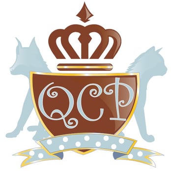 Queen City Pet Sitting - Pet Sitting Near Me - Charlotte, North Carolina Queen City Pet Sitting - Pet Sitting Near Me - Charlotte, North Carolina
