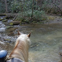 Smoky Mountain Riding Stables - About to cross the stream