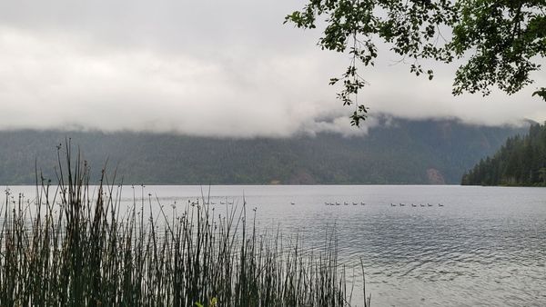 Log Cabin Resort by null