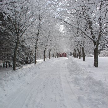 SKÖNPHOTO - "Coming Home" Winter picture of a New Hampshire Driveway with Norwegian Maple canopy - Photography Classes Near Me SKÖNPHOTO - "Coming Home" Winter picture of a New Hampshire Driveway with Norwegian Maple canopy - Photography Classes Near Me