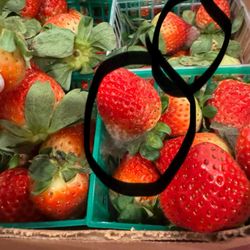 Sweet Tooth Candy  - MOLD ON STRAWBERRIES