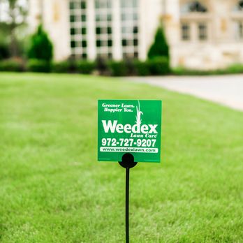 Weedex Lawn Care - Lawn Services Near Me - Lewisville, Texas Weedex Lawn Care - Lawn Services Near Me - Lewisville, Texas