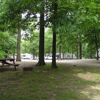 Camp Lakewood Campground - View of treed campsites & clean gravel drive/walk areas. - Campgrounds Near Me - Effingham, Illinois Camp Lakewood Campground - View of treed campsites & clean gravel drive/walk areas. - Campgrounds Near Me - Effingham, Illinois