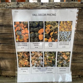 Peltzer Pumpkin Farm - Pricing - Pumpkin Patches Near Me - Temecula, California