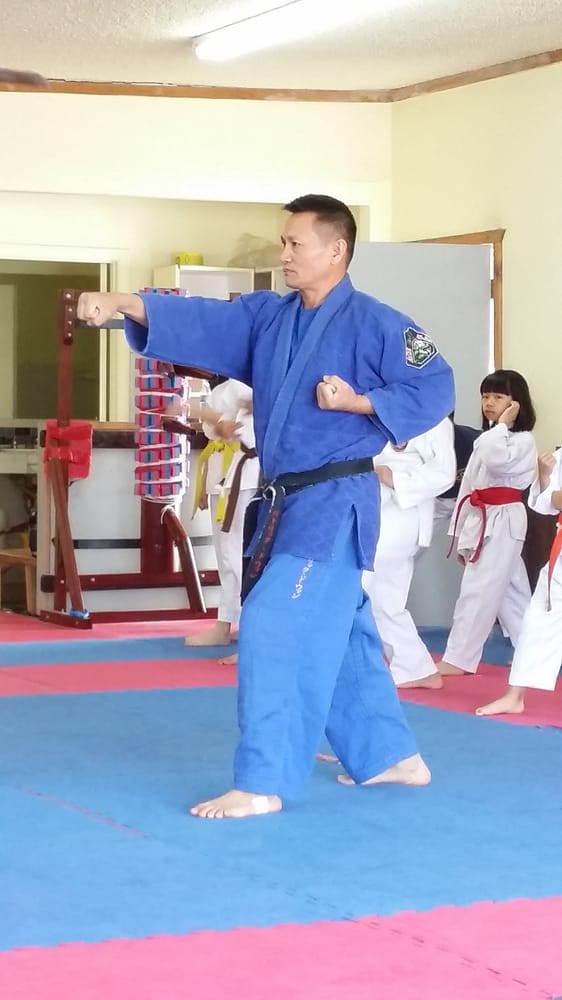 Japan Karate-Do Judo Jujitsu Logo