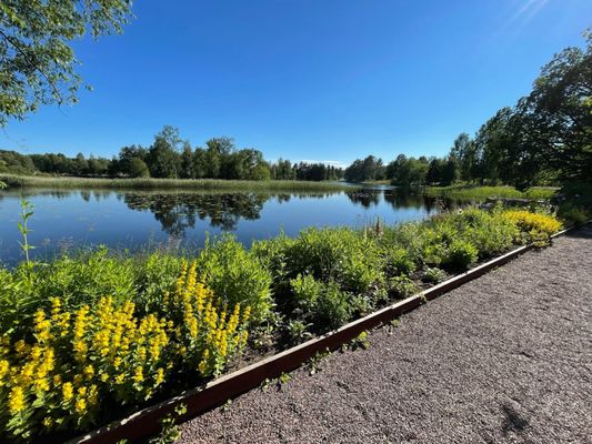 Carl Larsson-gården by null