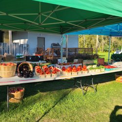Hamburg Farmers Market