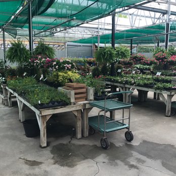 Abide A While Garden Boutique - Nurseries & Gardening Near Me - Mount Pleasant, South Carolina