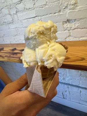Mount Desert Island Ice Cream by null