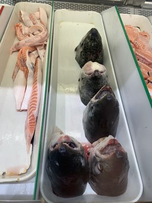 Pacific East Mall by null