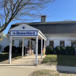 The Bowerbird