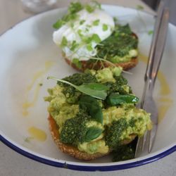 Paddock - Closeup of smashed avocado