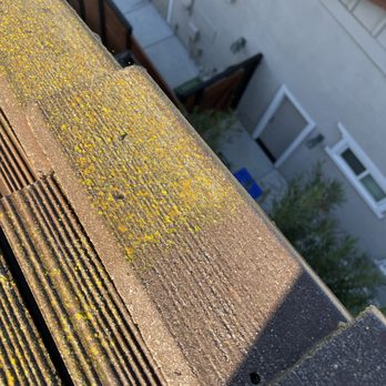 Bay Pressure Washer - Solar Panel Cleaning Near Me