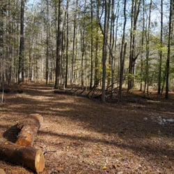 Unpaved path near Cativo Rd entrance