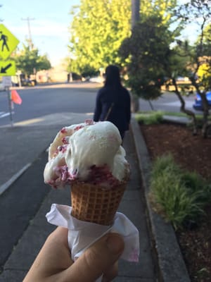 Scoop Du Jour Ice Creamery by null