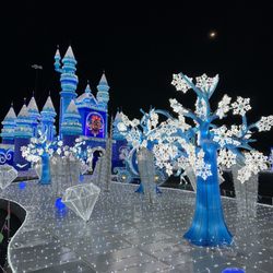 Magical Winter Lights