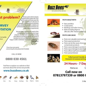 Buzzbees Pest Control - buzzbees leaflet - Pest Control Near Me - Benfleet, ESS