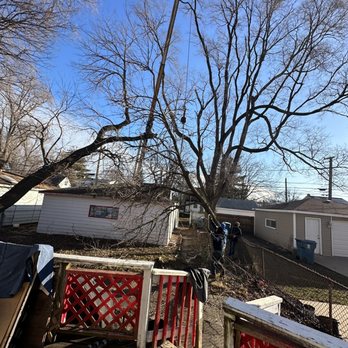 County Tree Service - Tree Services Near Me - Stickney, Illinois County Tree Service - Tree Services Near Me - Stickney, Illinois