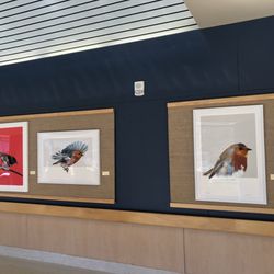 University of Michigan Medical Center - Some walkway artwork.