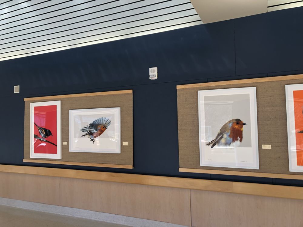 University of Michigan Medical Center - patient advocate in Ann Arbor, MI