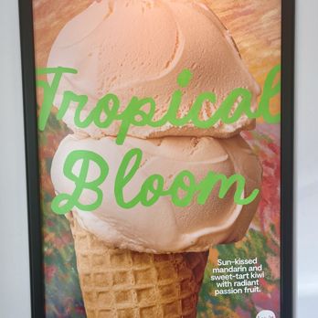 Jeni's Splendid Ice Creams - Decor - Ice Cream & Frozen Yogurt Near Me - Houston, Texas Jeni's Splendid Ice Creams - Decor - Ice Cream & Frozen Yogurt Near Me - Houston, Texas