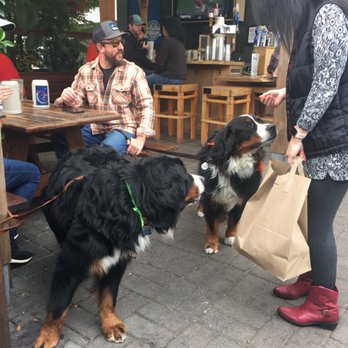 Prost! - Pubs Near Me - Portland, Oregon Prost! - Pubs Near Me - Portland, Oregon