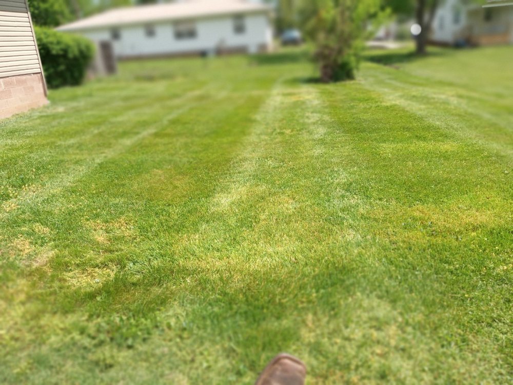 Slide of Easterday Emporium