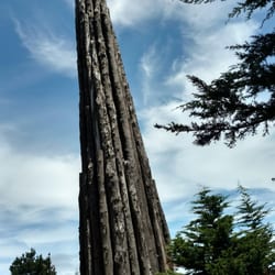 Ecology Trail at the Presidio