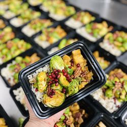 Plant Based Meals