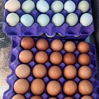 Billy's Egg Farm - brown and green eggs - Specialty Food Near Me - Chino, California Billy's Egg Farm - brown and green eggs - Specialty Food Near Me - Chino, California