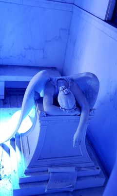 Metairie Cemetery by null