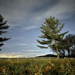 Comus Sky Farm