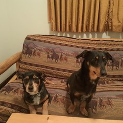 Nordic Lodge of Steamboat - Ignacio and Gustavo enjoying the digs :)