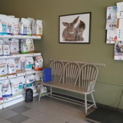 Pickering Animal Hospital - Photo