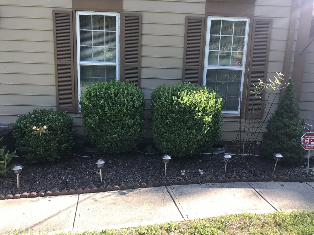 CHEEQUE’S Updated May 2024 1230 E Linden Ave, Linden, New Jersey