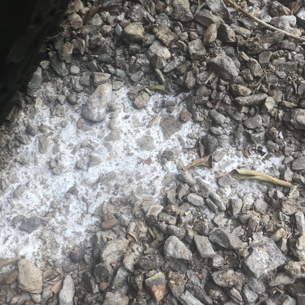 The Pool Shack - Mortar and every poured in my gravel The gravel has to be replaced this is how they left it - Pool & Hot Tub Service Near Me The Pool Shack - Mortar and every poured in my gravel The gravel has to be replaced this is how they left it - Pool & Hot Tub Service Near Me