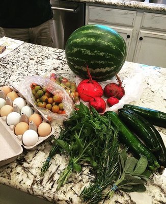 Autonomy Farms by null