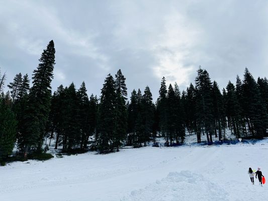 Granlibakken Tahoe by null